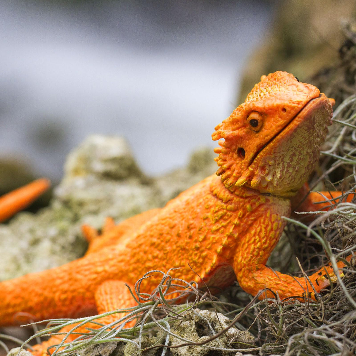 Safari Ltd. Bearded Dragon Figurine – 8.5-inch Lifelike Plastic Model for Kids 18M+