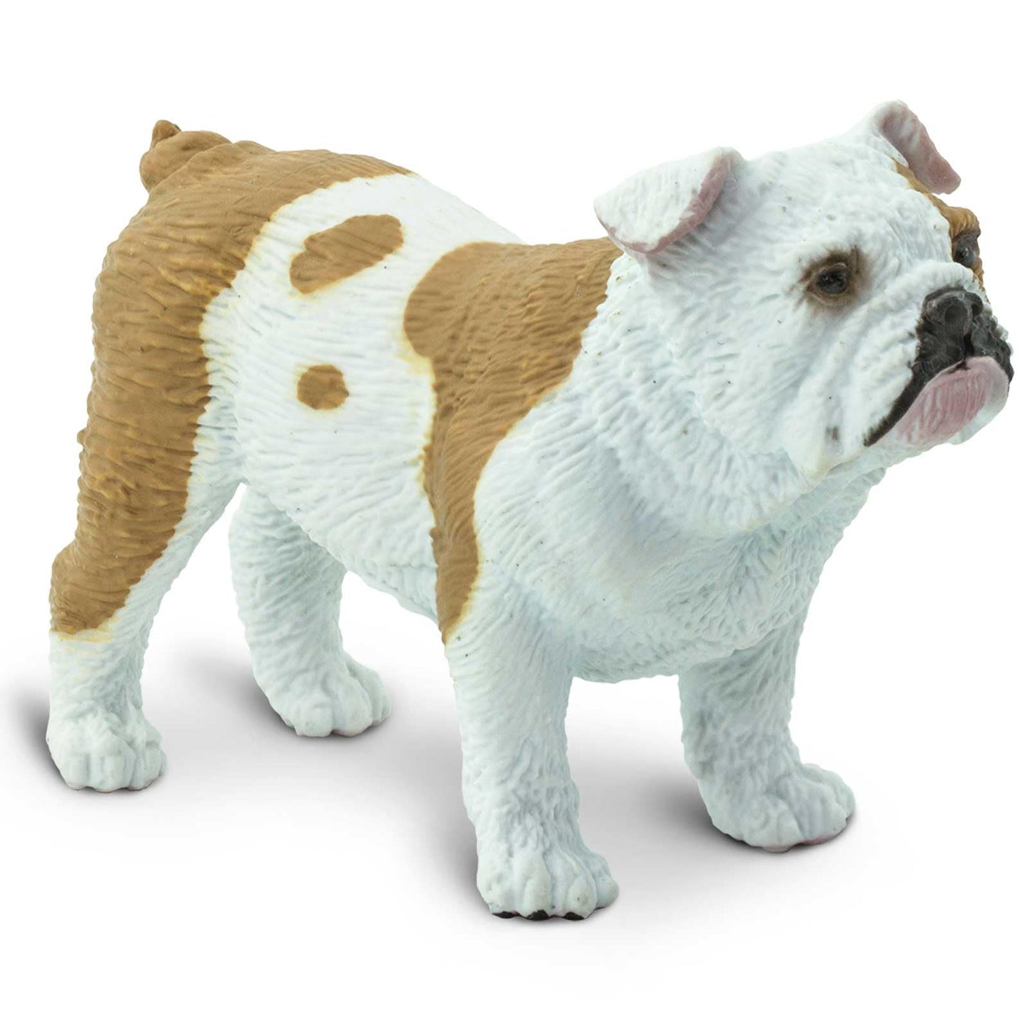 Safari Ltd. Bulldog Figurine – Lifelike 2.25-inch Model Figure | Best In Show Dogs Toy for Kids 3+