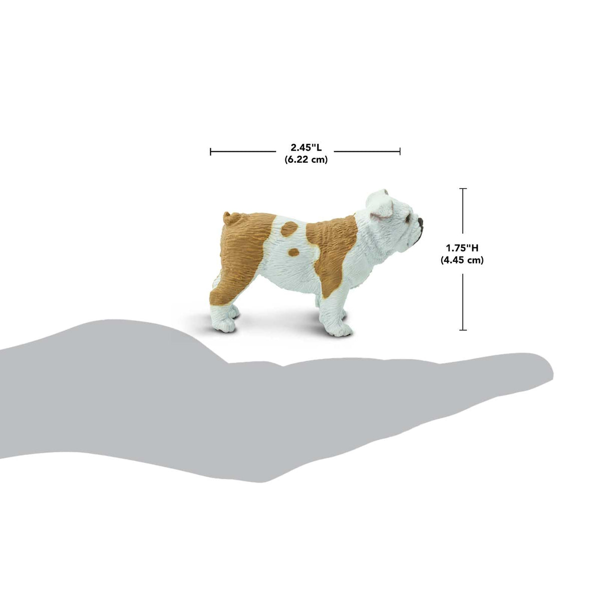 Safari Ltd. Bulldog Figurine – Lifelike 2.25-inch Model Figure | Best In Show Dogs Toy for Kids 3+