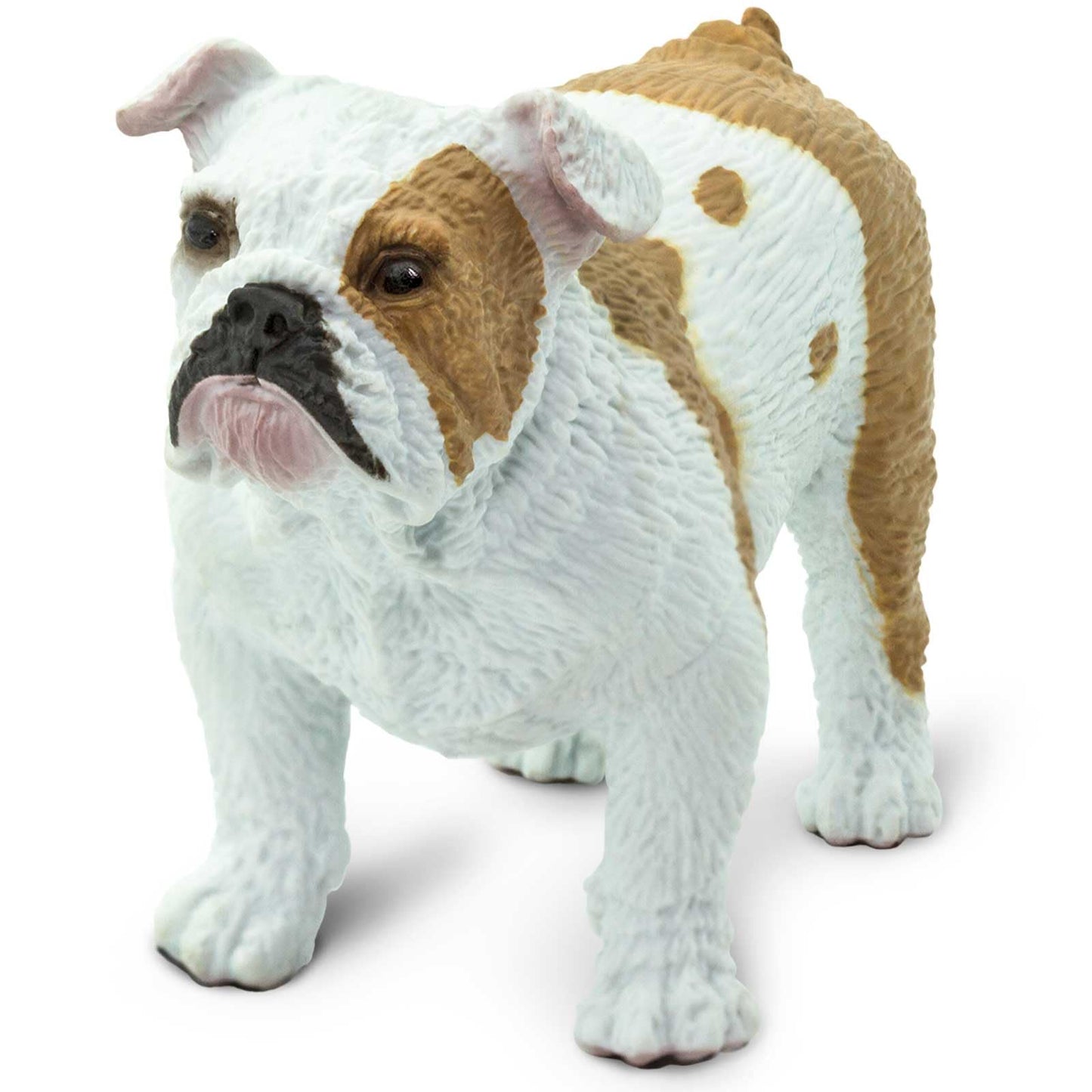 Safari Ltd. Bulldog Figurine – Lifelike 2.25-inch Model Figure | Best In Show Dogs Toy for Kids 3+