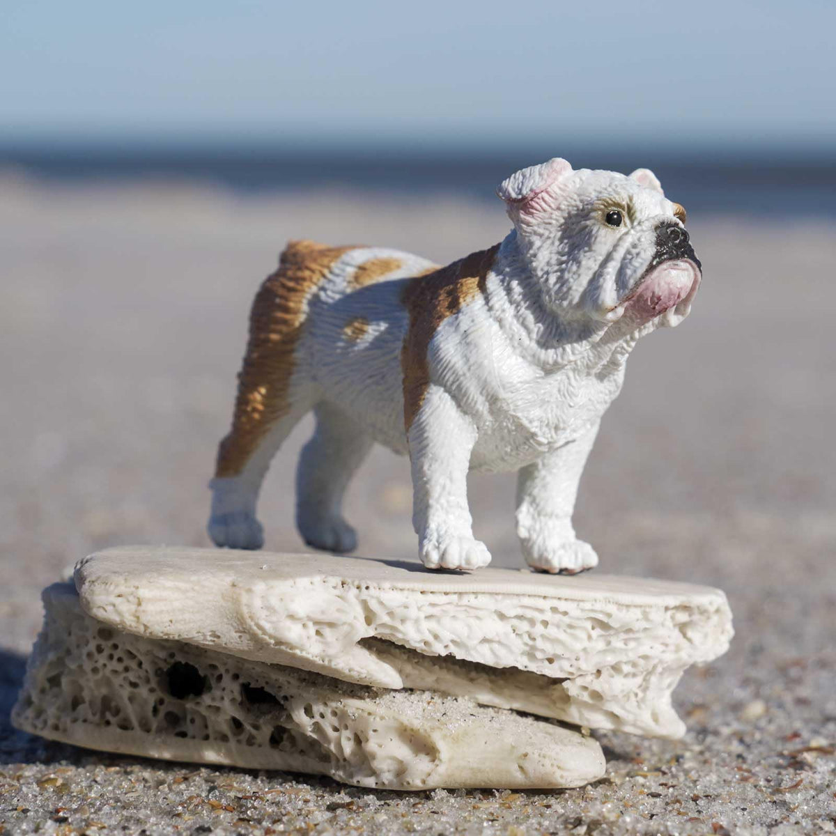 Safari Ltd. Bulldog Figurine – Lifelike 2.25-inch Model Figure | Best In Show Dogs Toy for Kids 3+