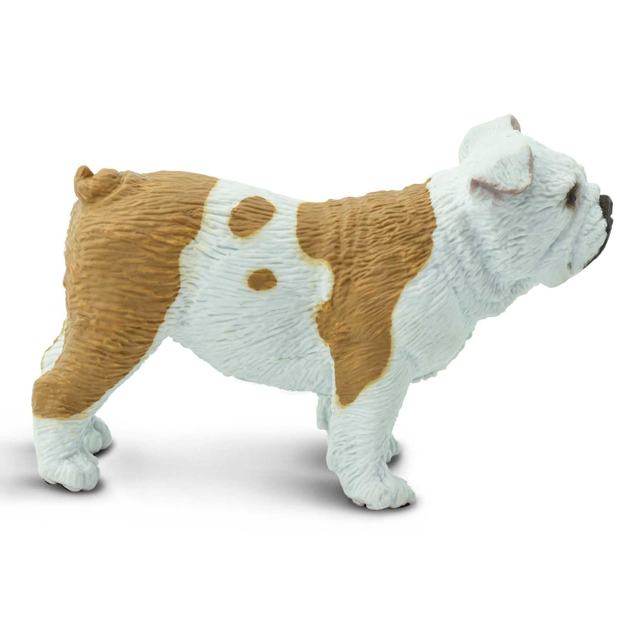 Safari Ltd. Bulldog Figurine – Lifelike 2.25-inch Model Figure | Best In Show Dogs Toy for Kids 3+