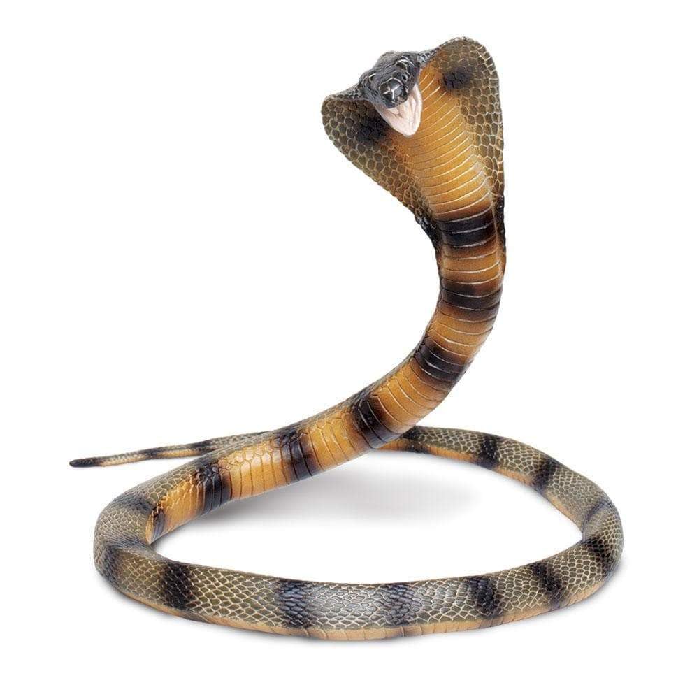 Safari Ltd. Cobra Figurine – 36-Inch Flexible Plastic Model for Educational Play