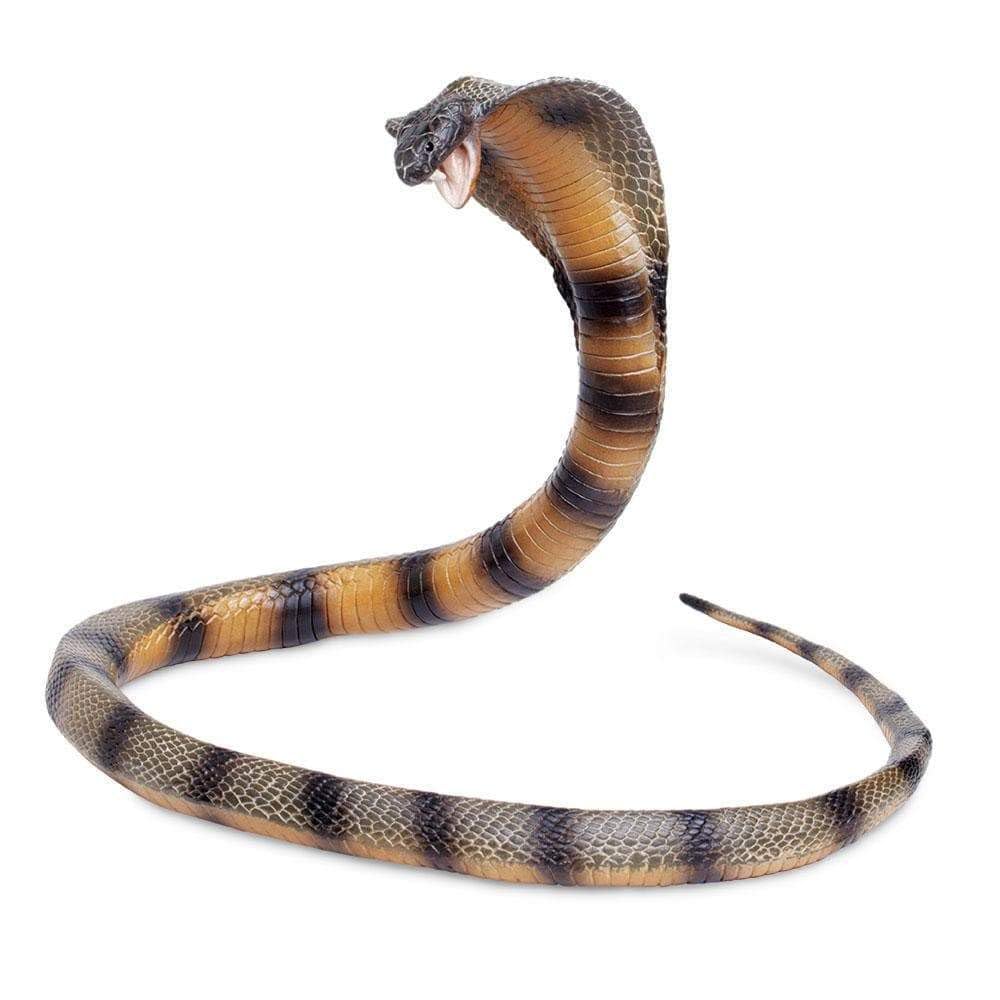 Safari Ltd. Cobra Figurine – 36-Inch Flexible Plastic Model for Educational Play