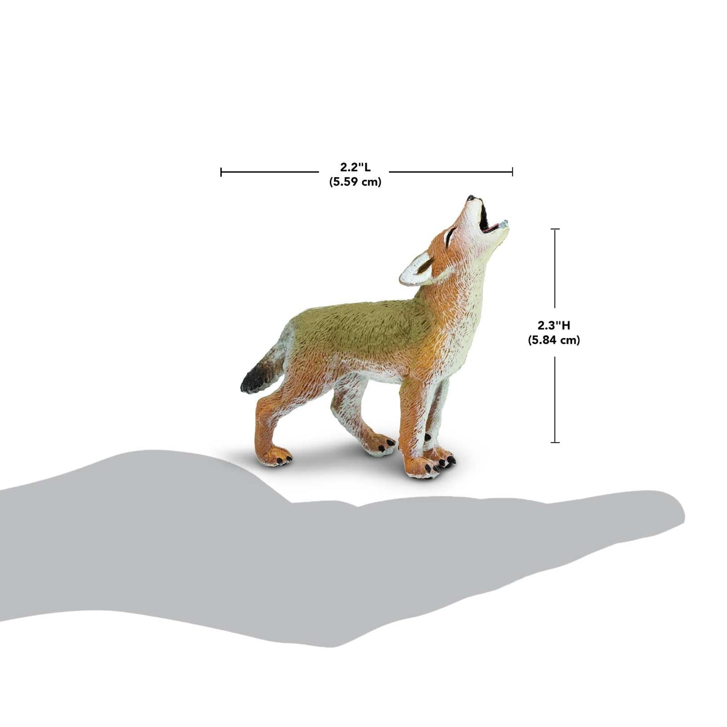 Safari Ltd. Coyote Pup Figurine – 2.6” Lifelike North American Wildlife Model for Kids