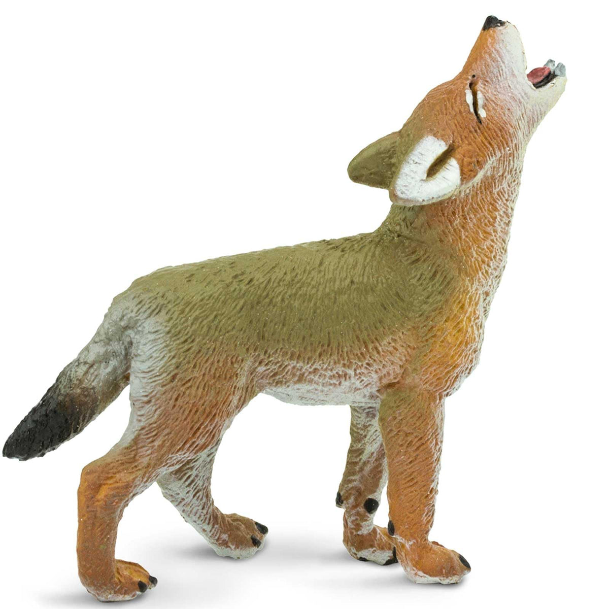 Safari Ltd. Coyote Pup Figurine – 2.6” Lifelike North American Wildlife Model for Kids