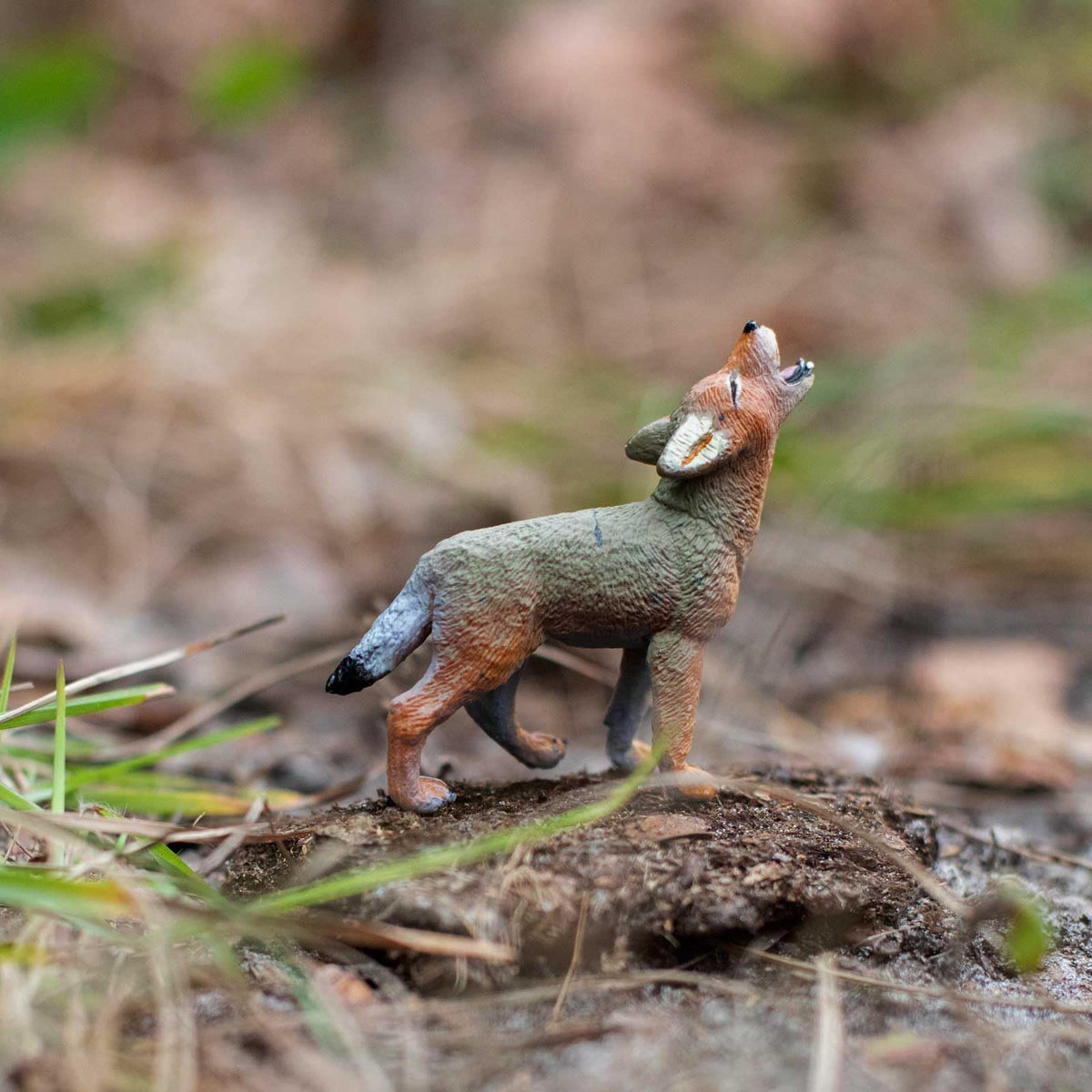 Safari Ltd. Coyote Pup Figurine – 2.6” Lifelike North American Wildlife Model for Kids