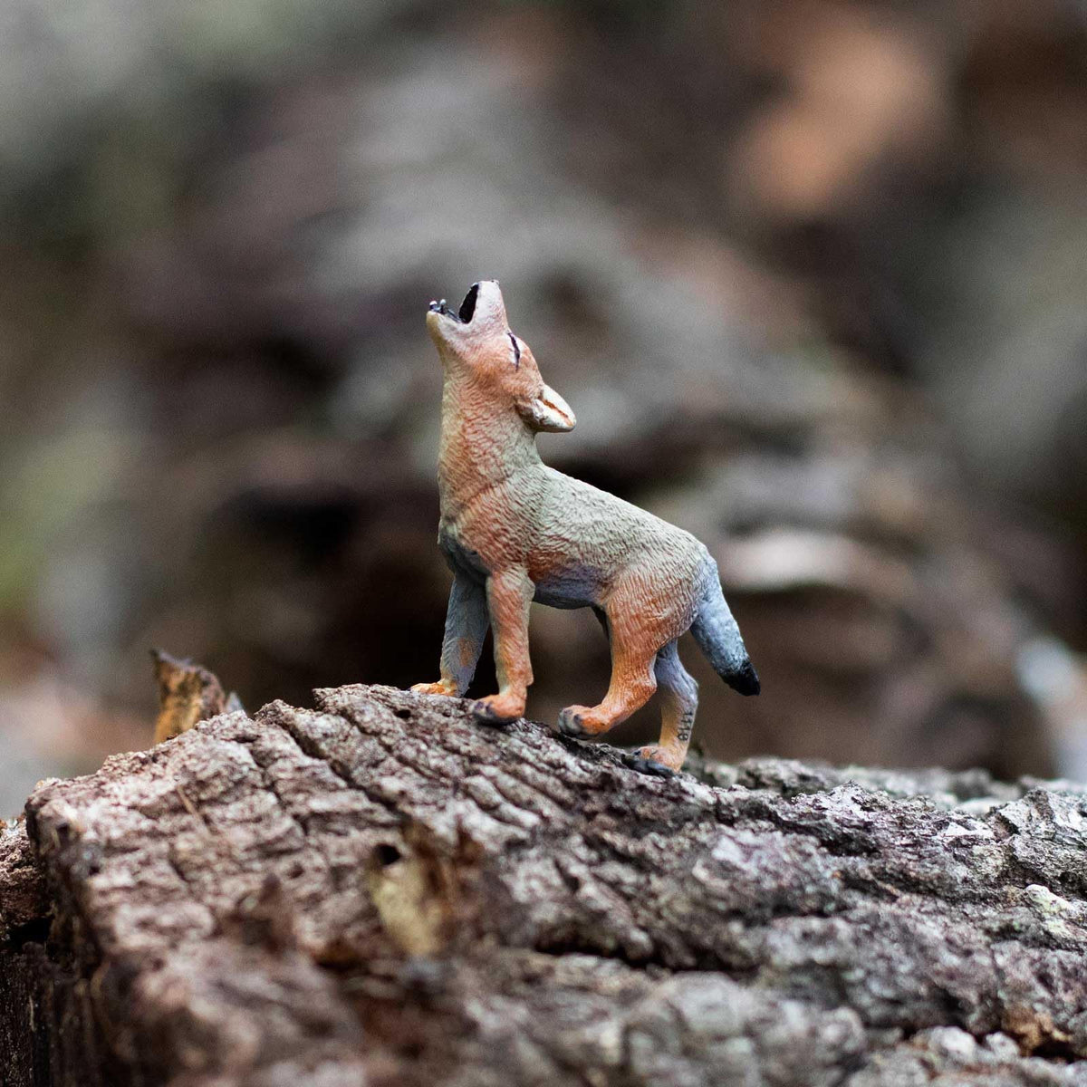 Safari Ltd. Coyote Pup Figurine – 2.6” Lifelike North American Wildlife Model for Kids