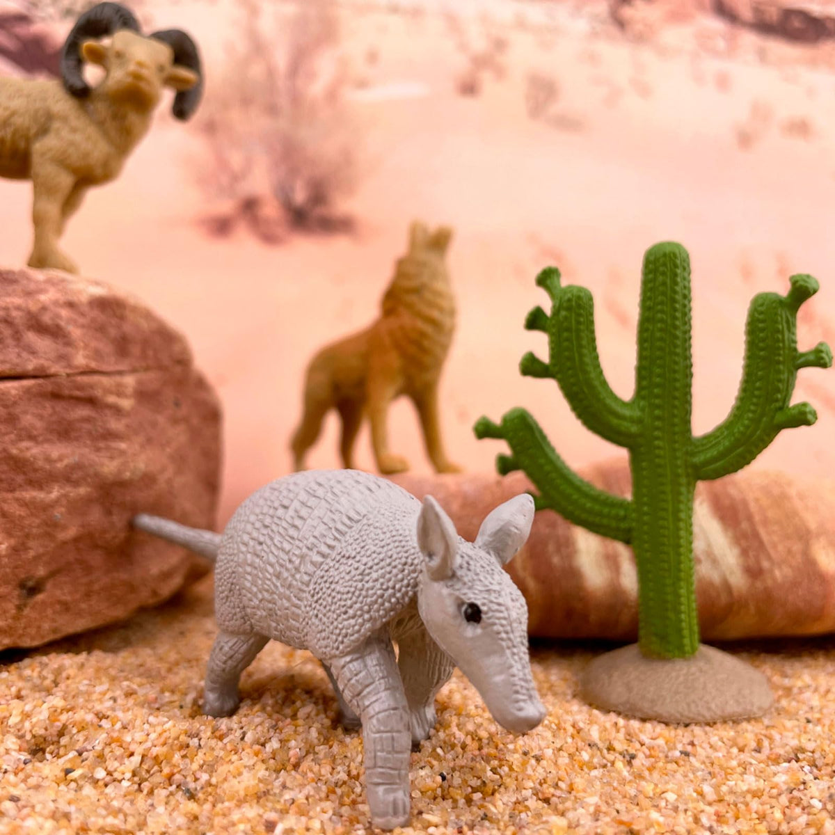 Safari Ltd. Desert TOOB - 12 Desert Animal Figurines for Kids 3+