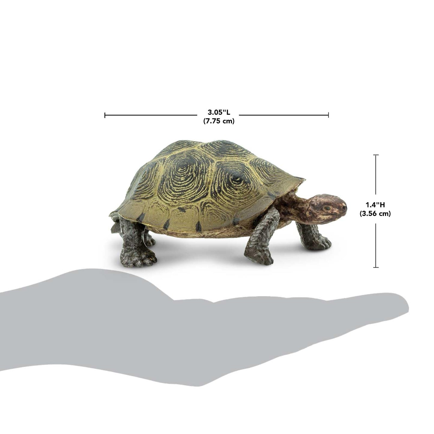 Safari Ltd. Desert Tortoise Figurine — Lifelike 3.25-Inch Wildlife Figure for Kids