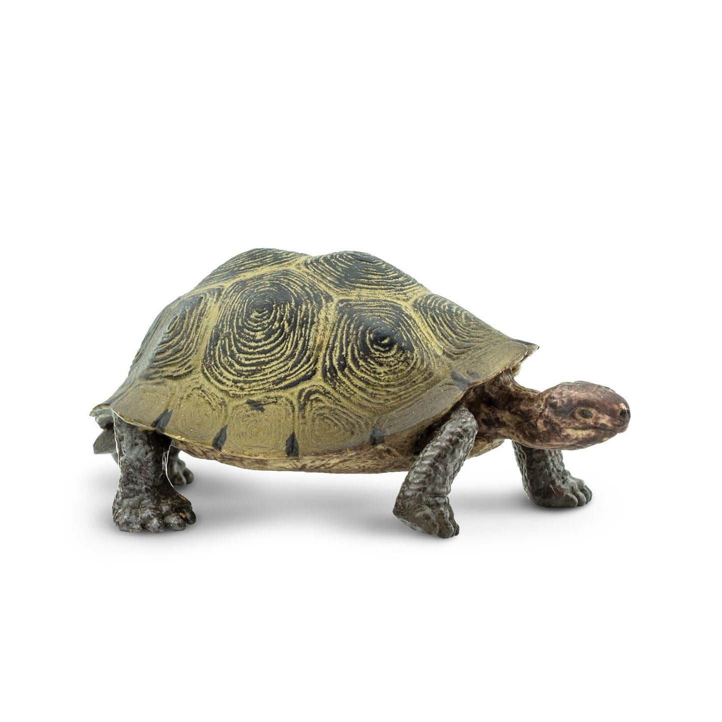 Safari Ltd. Desert Tortoise Figurine — Lifelike 3.25-Inch Wildlife Figure for Kids