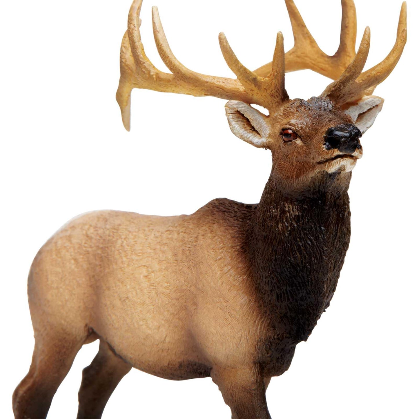 Safari Ltd. Elk Bull Figurine – 4.75-Inch Hand-Painted Plastic Model for Kids