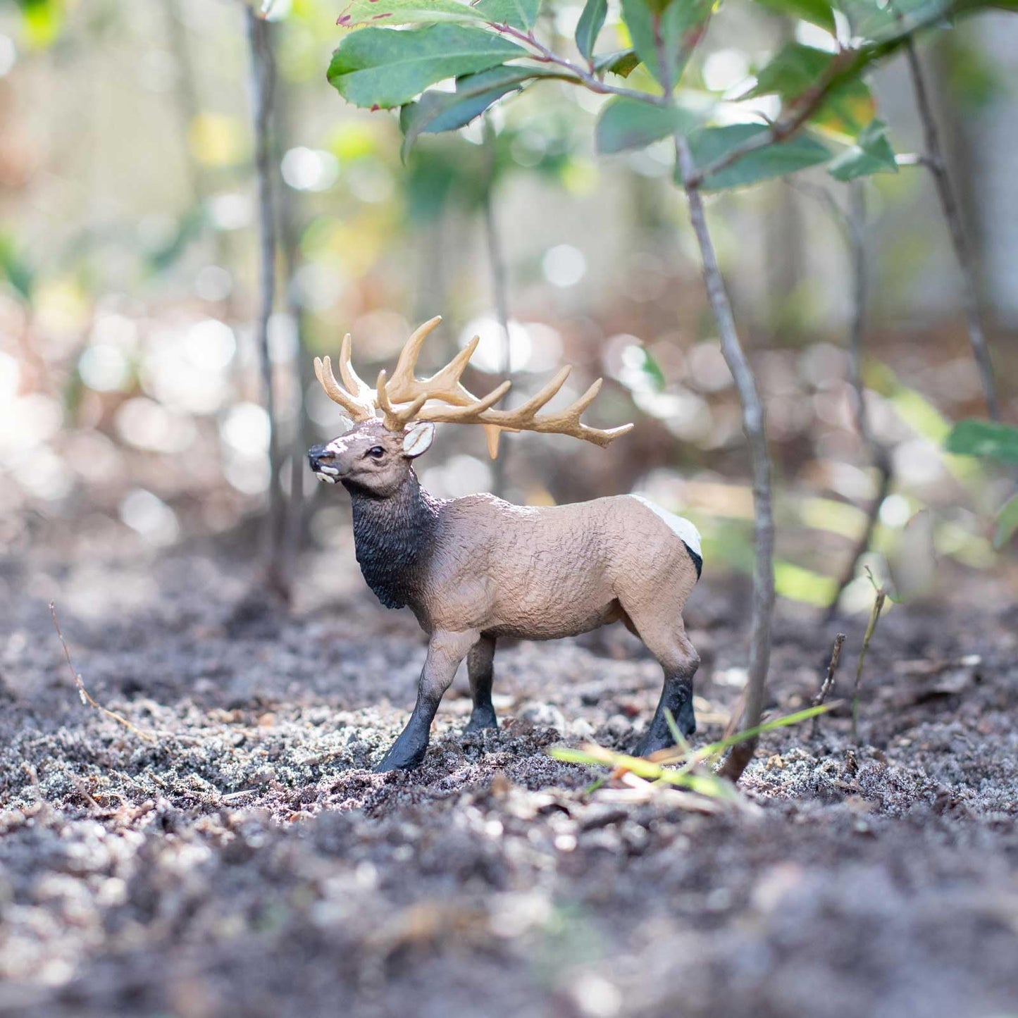 Safari Ltd. Elk Bull Figurine – 4.75-Inch Hand-Painted Plastic Model for Kids
