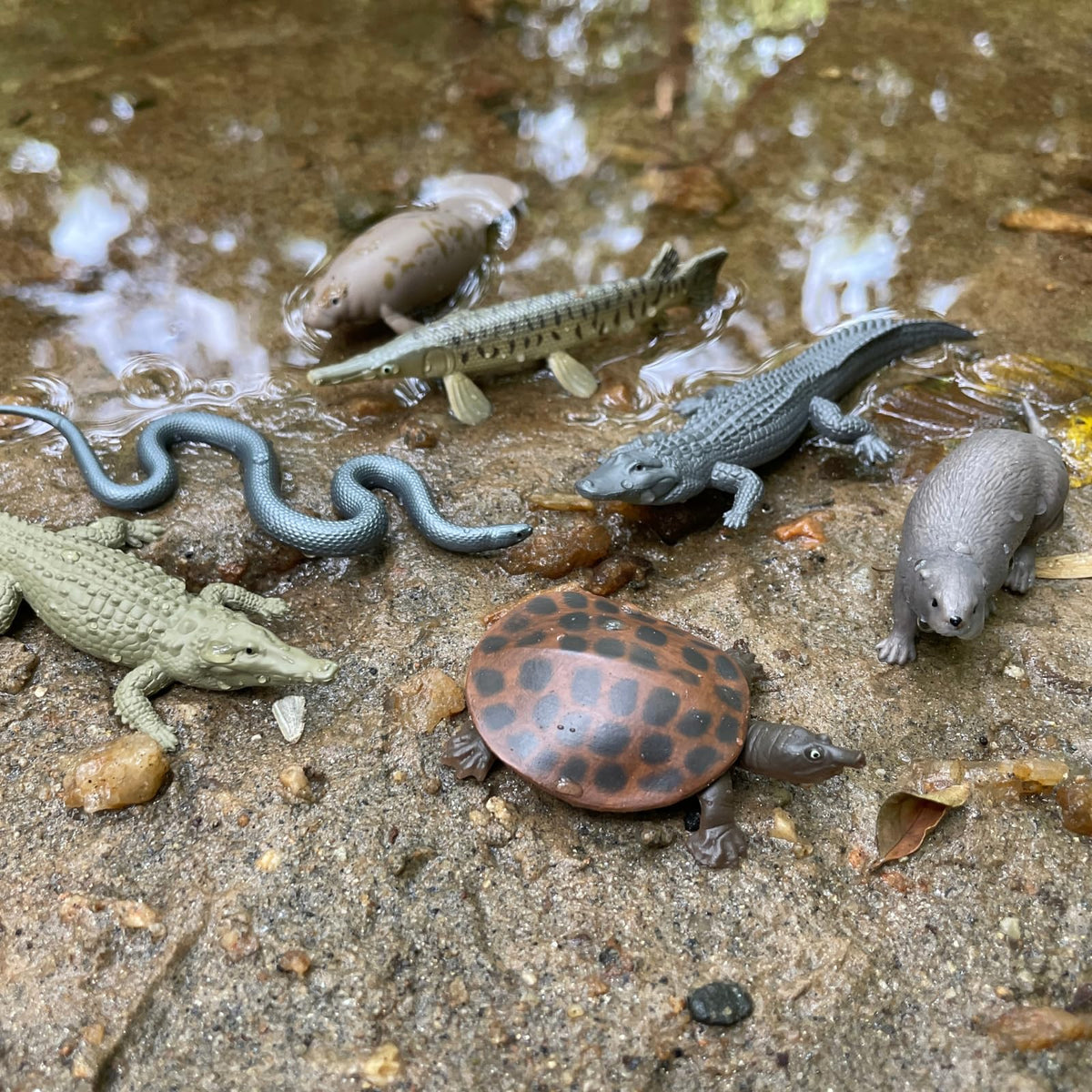 Safari Ltd. Everglades TOOB - 11 Mini Figurines for Kids (Wood Stork, Alligator, Manatee & More)
