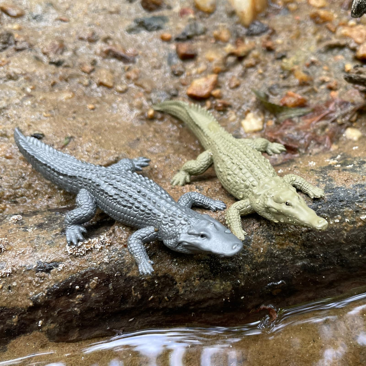 Safari Ltd. Everglades TOOB - 11 Mini Figurines for Kids (Wood Stork, Alligator, Manatee & More)