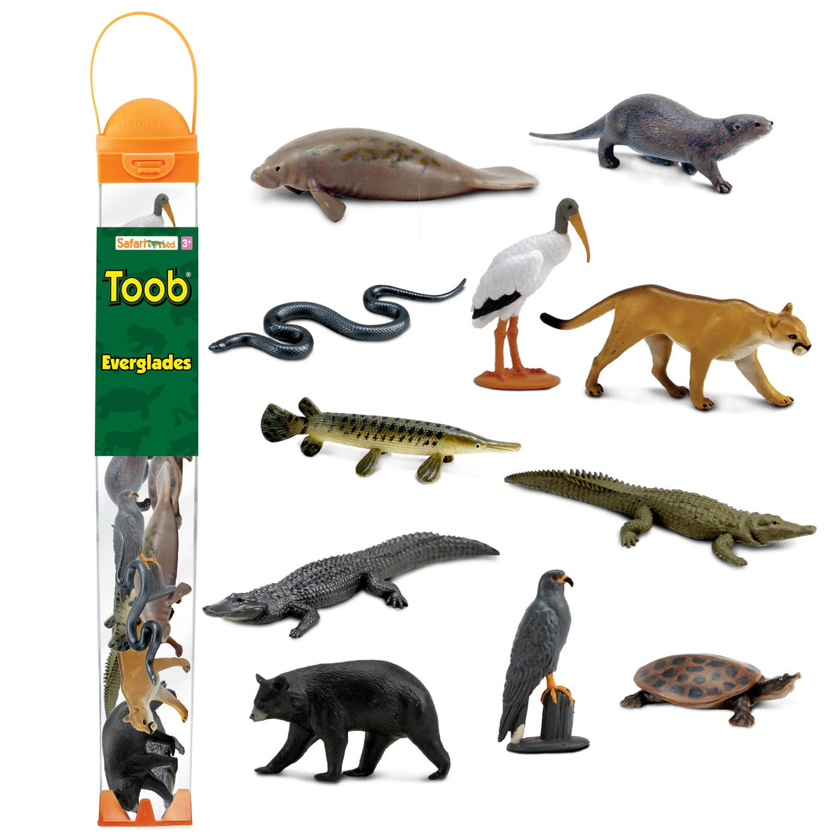 Safari Ltd. Everglades TOOB - 11 Mini Figurines for Kids (Wood Stork, Alligator, Manatee & More)