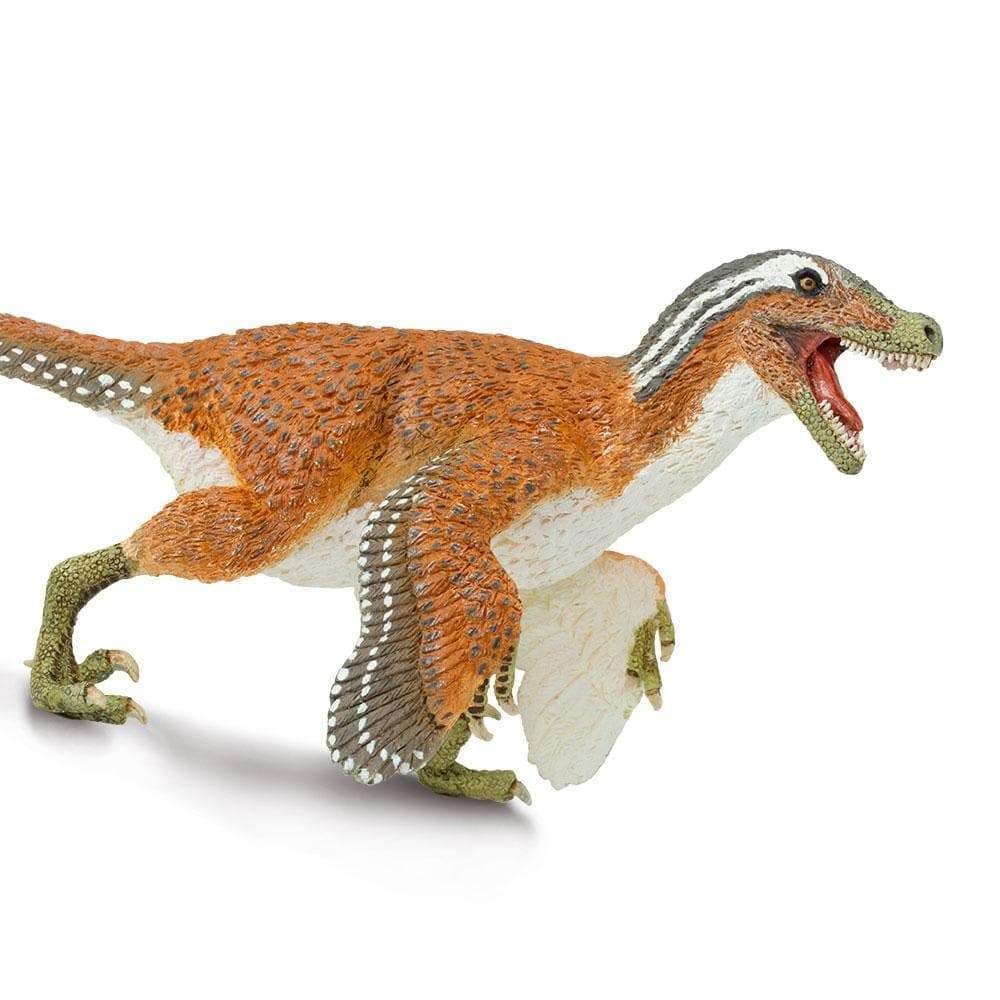Safari Ltd Feathered Velociraptor Dinosaur Toy – Realistic 8.5-Inch Raptor Figure