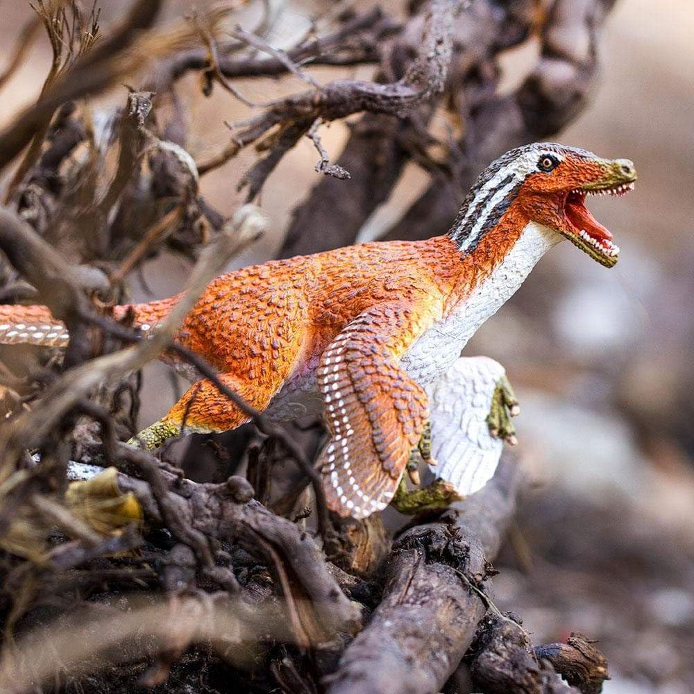 Safari Ltd Feathered Velociraptor Dinosaur Toy – Realistic 8.5-Inch Raptor Figure