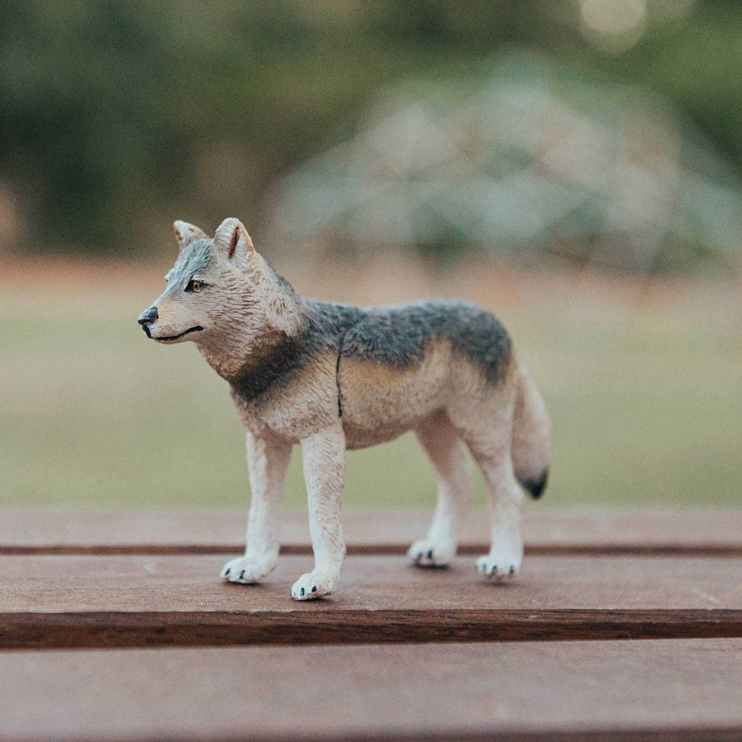 Safari Ltd. Gray Wolf Figurine - Realistic 4-inch Plastic Wolf Figure | Educational Toy for Kids 3+