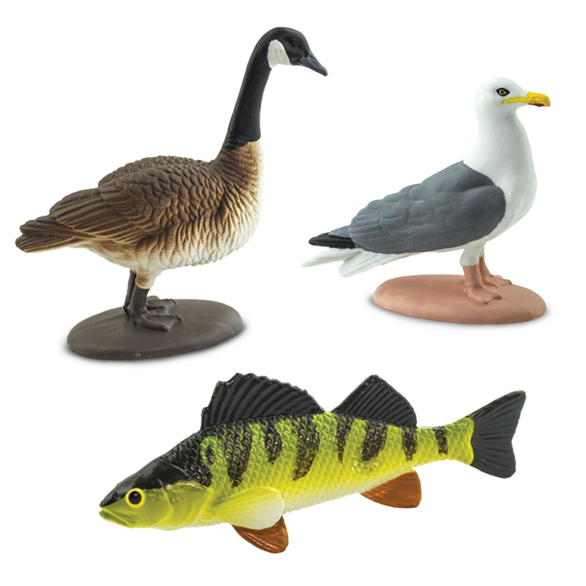 Safari Ltd. Great Lakes TOOB – 10 Hand-Painted Wildlife Figures for Kids 3+