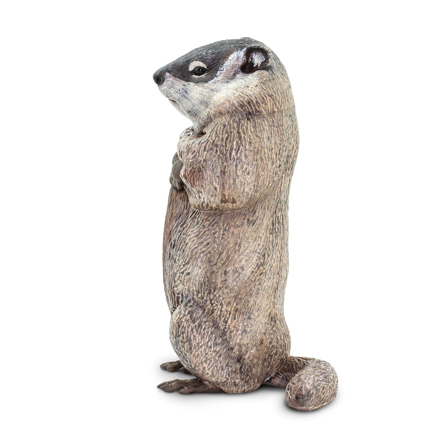 Safari Ltd. Groundhog Miniature Figure – Hand-Painted 4.5-Inch Model for Kids 18 Months+