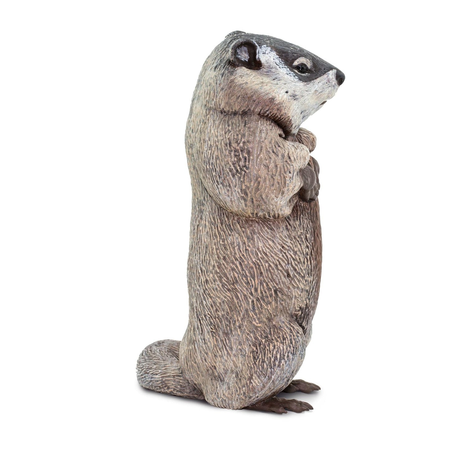 Safari Ltd. Groundhog Miniature Figure – Hand-Painted 4.5-Inch Model for Kids 18 Months+