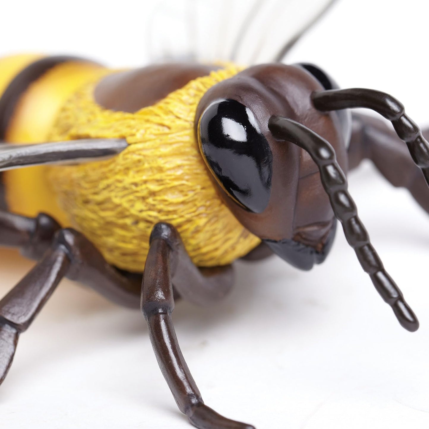 Safari Ltd. Honey Bee Figurine – Realistic 5.5-inch Model for Kids 3+ | Educational Toy