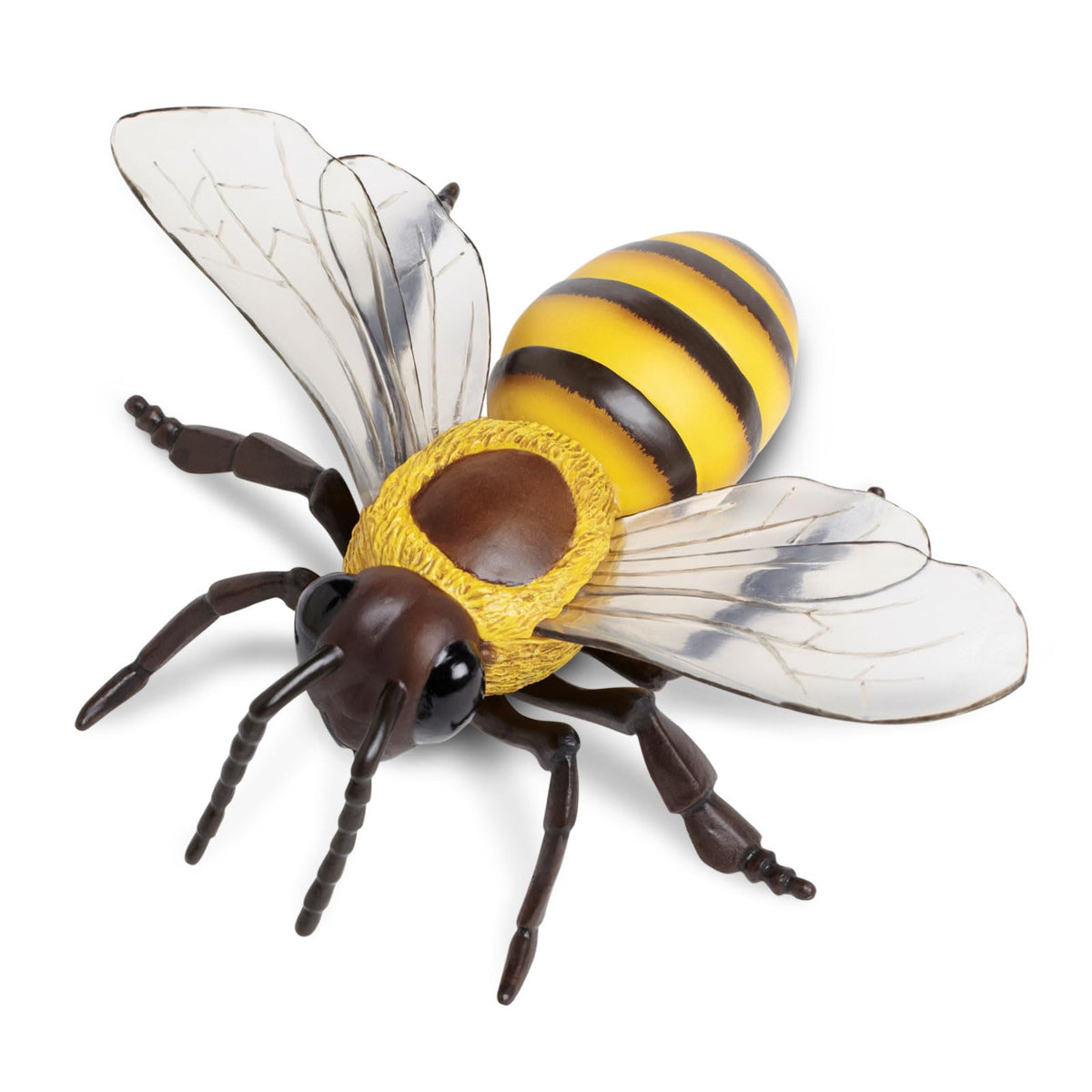 Safari Ltd. Honey Bee Figurine – Realistic 5.5-inch Model for Kids 3+ | Educational Toy