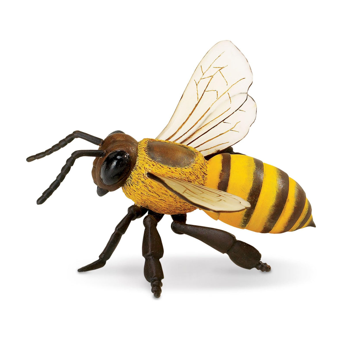 Safari Ltd. Honey Bee Figurine – Realistic 5.5-inch Model for Kids 3+ | Educational Toy