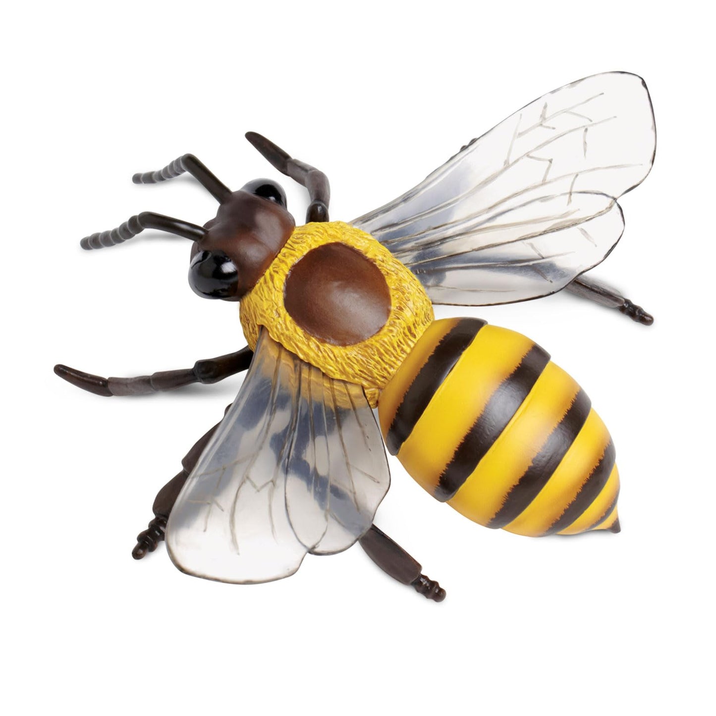 Safari Ltd. Honey Bee Figurine – Realistic 5.5-inch Model for Kids 3+ | Educational Toy