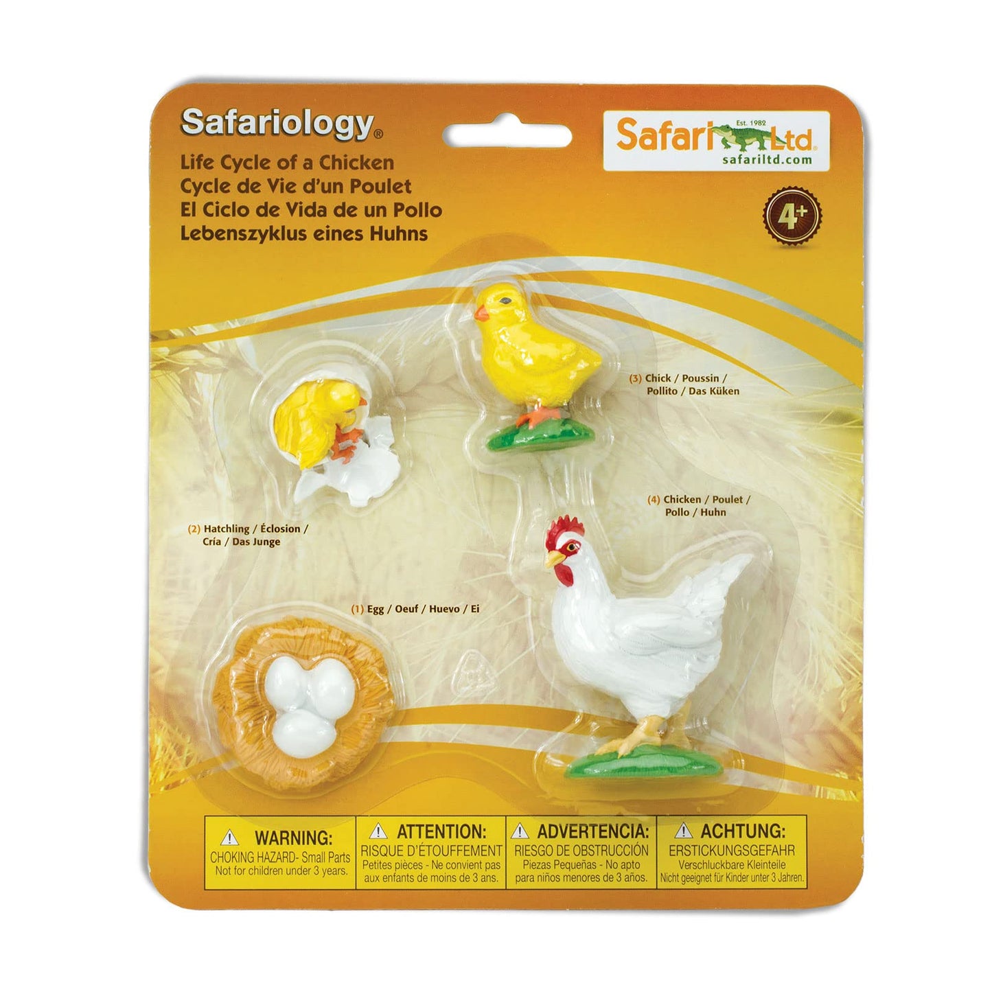 Safari Ltd. Life Cycle of a Chicken – Educational Toy Figurines for Kids 4+