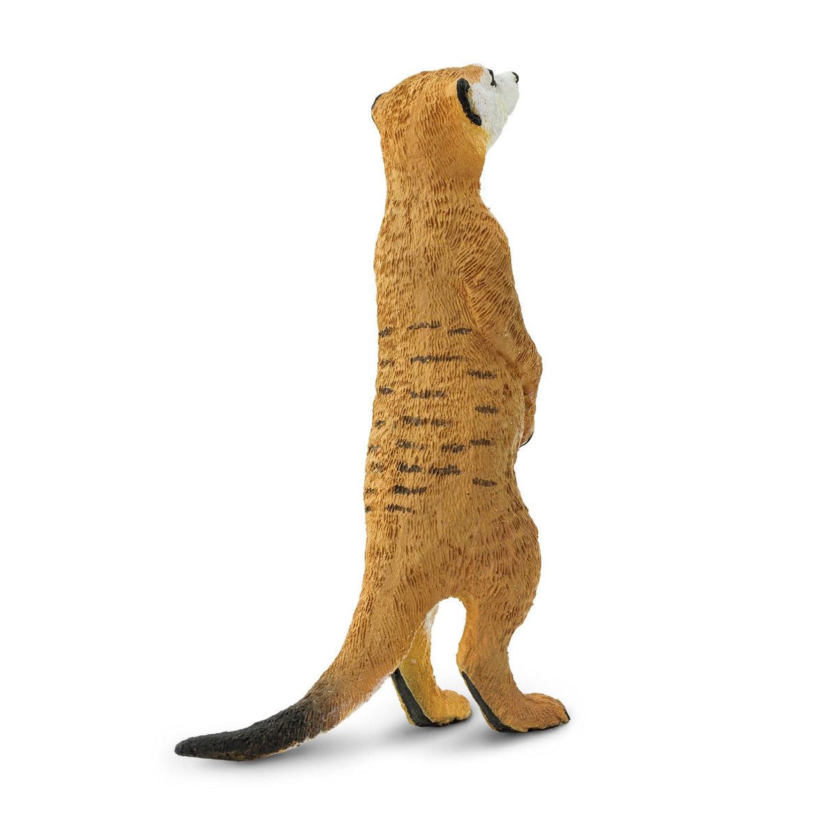 Safari Ltd. Meerkat Figurine - Hand-Painted 3.25-inch Model for Kids 3+