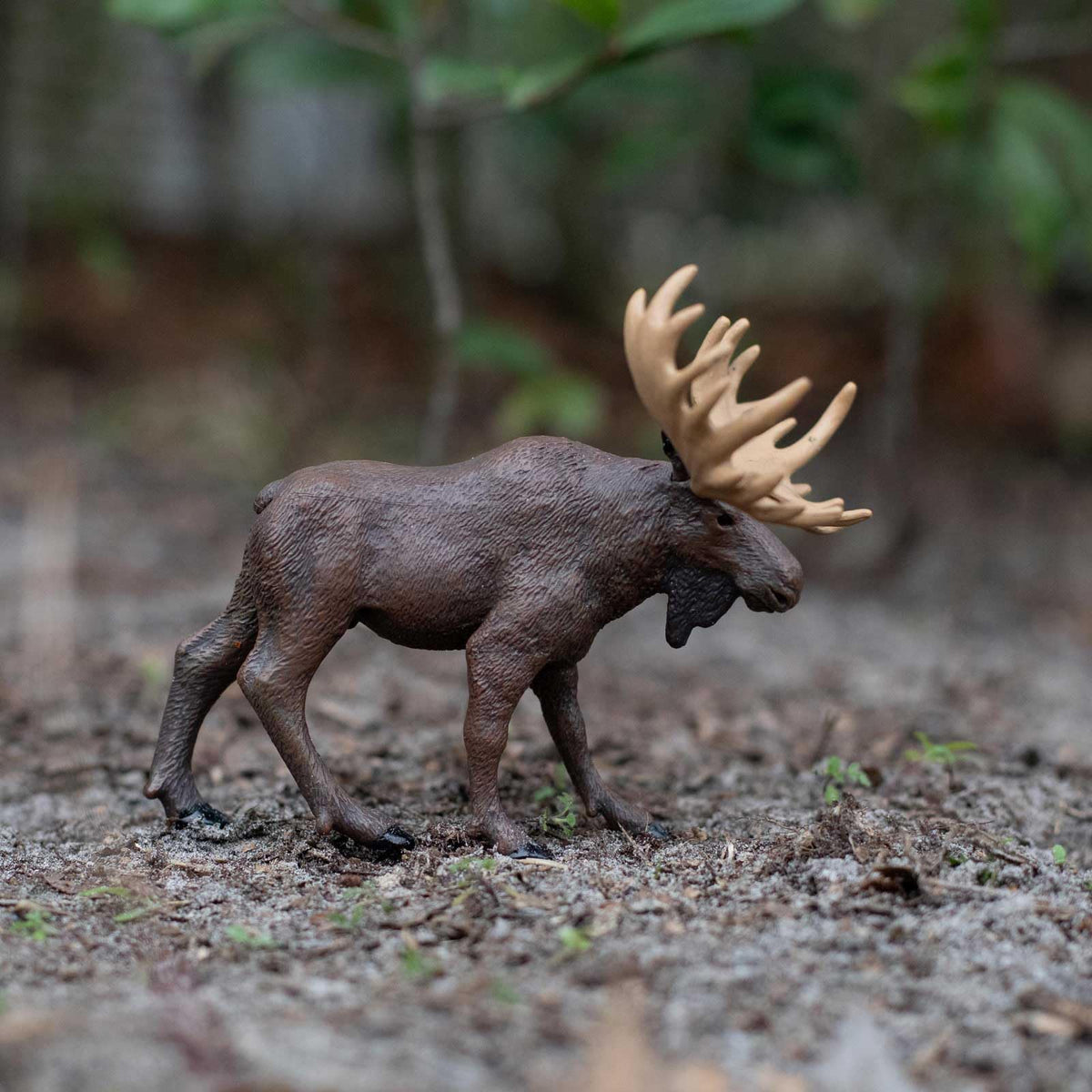 Safari Ltd. Moose Figurine - Realistic 5-inch Wildlife Figure for Kids