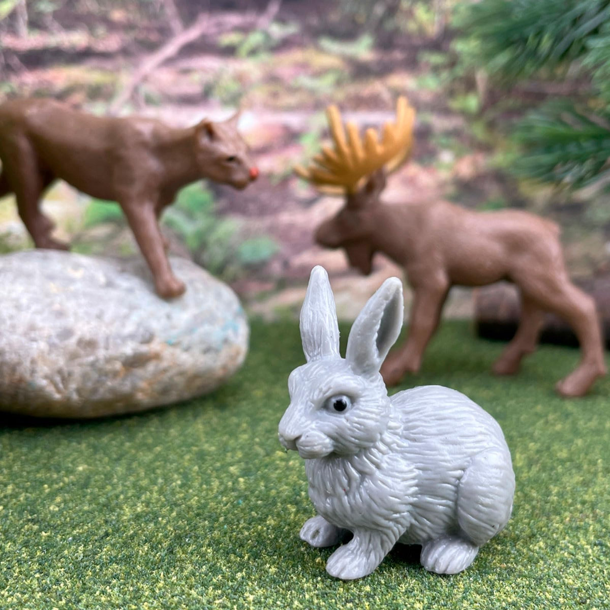Safari Ltd Nature TOOB – 12 Mini Wildlife Figurines | Educational Toy for Kids 3+