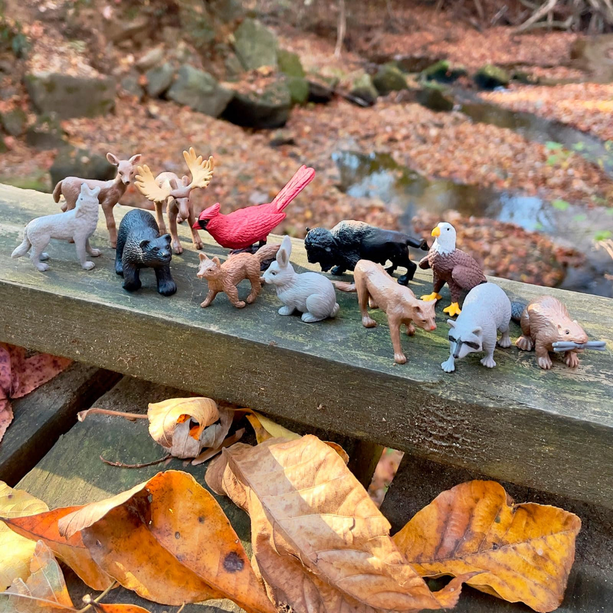 Safari Ltd Nature TOOB – 12 Mini Wildlife Figurines | Educational Toy for Kids 3+
