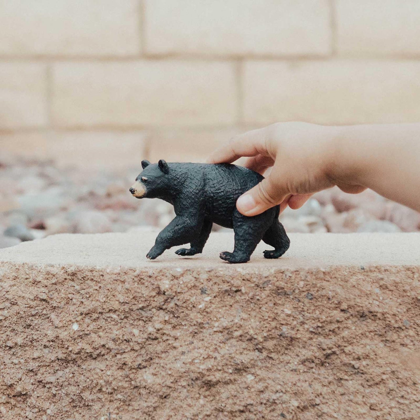 Safari Ltd. North American Black Bear Figurine – 4.5-Inch PVC Model for Kids 1+