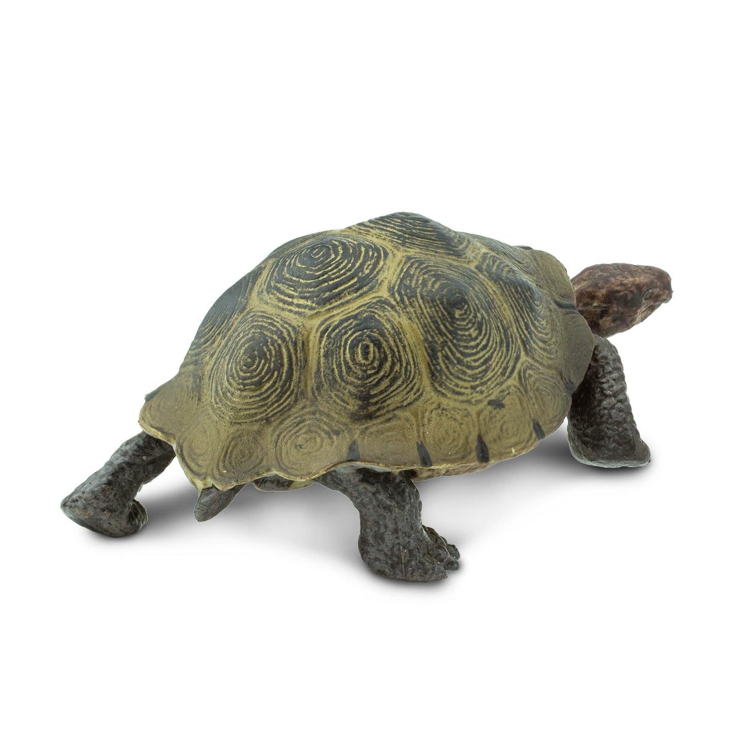 Safari Ltd. Desert Tortoise Figurine — Lifelike 3.25-Inch Wildlife Figure for Kids