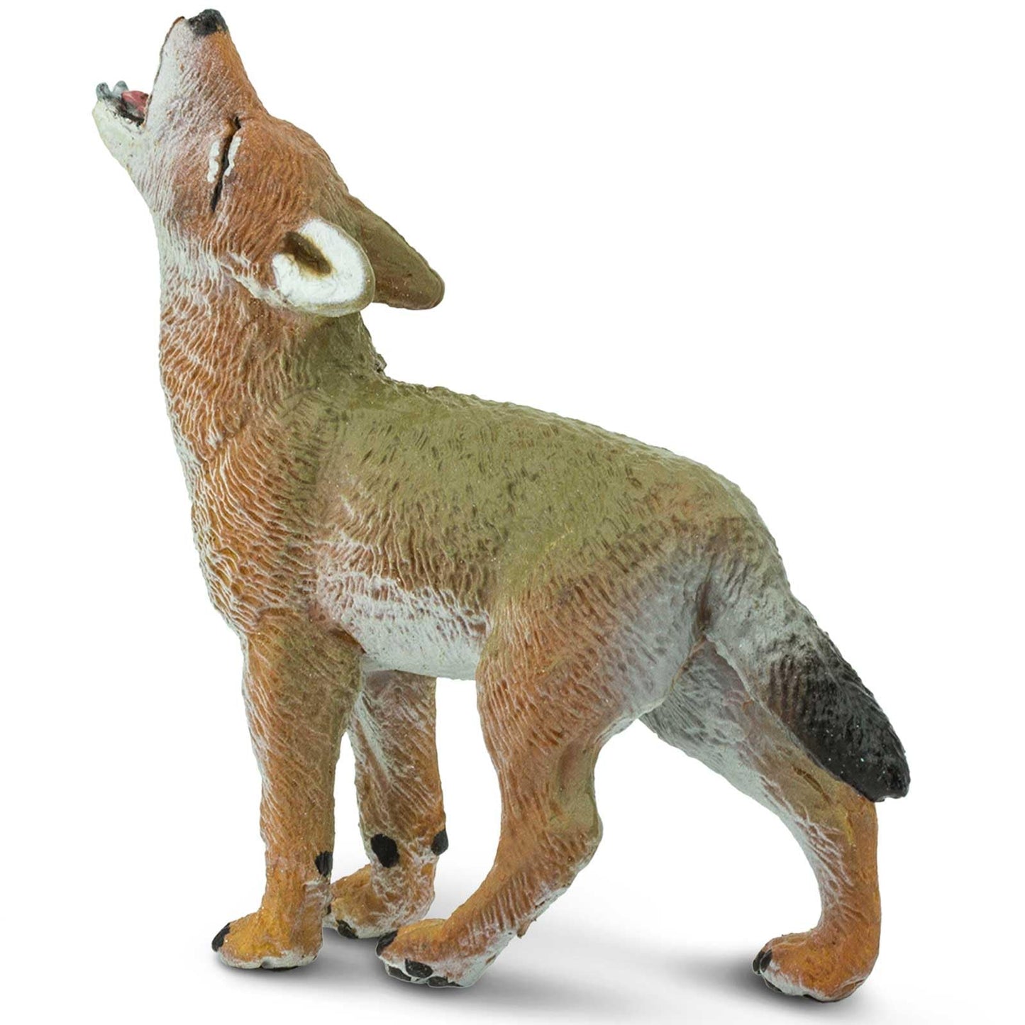 Safari Ltd. Coyote Pup Figurine – 2.6” Lifelike North American Wildlife Model for Kids