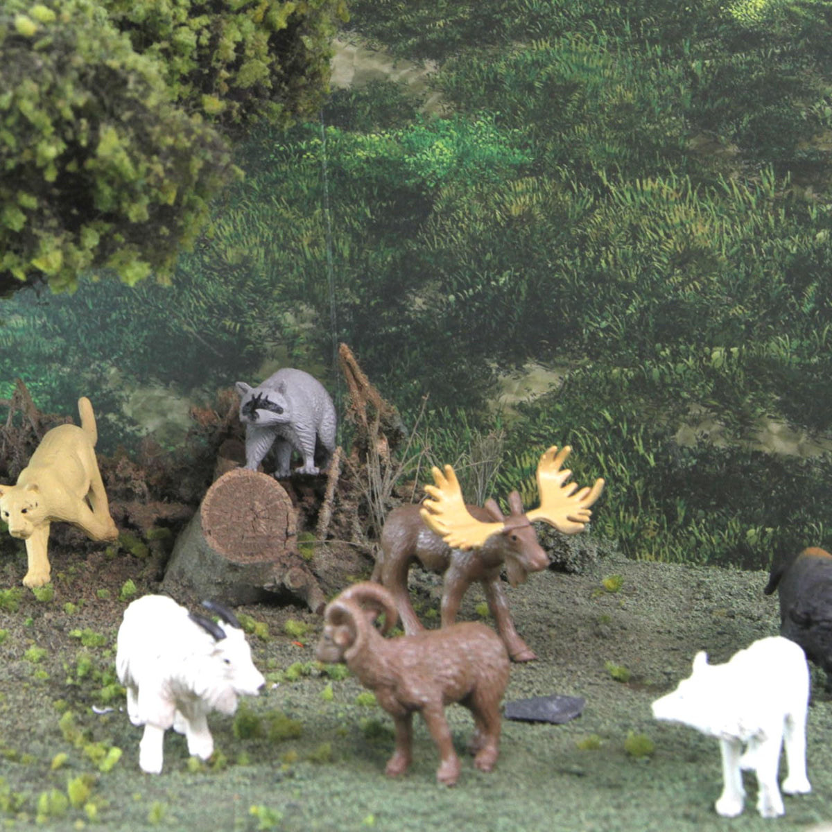 Safari Ltd. North American Wildlife TOOB – 12 Hand-Painted Mini Figurines for Kids