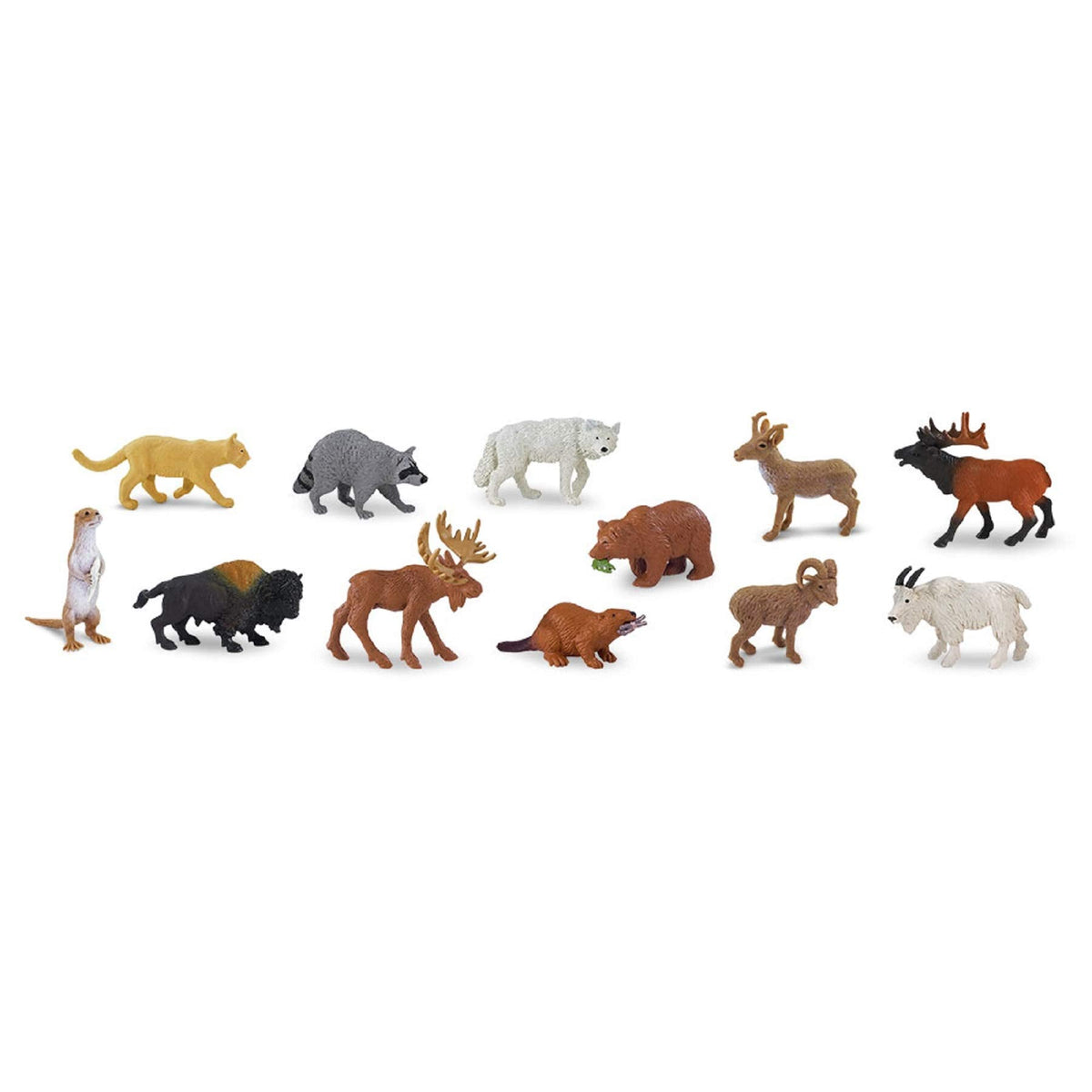 Safari Ltd. North American Wildlife TOOB – 12 Hand-Painted Mini Figurines for Kids