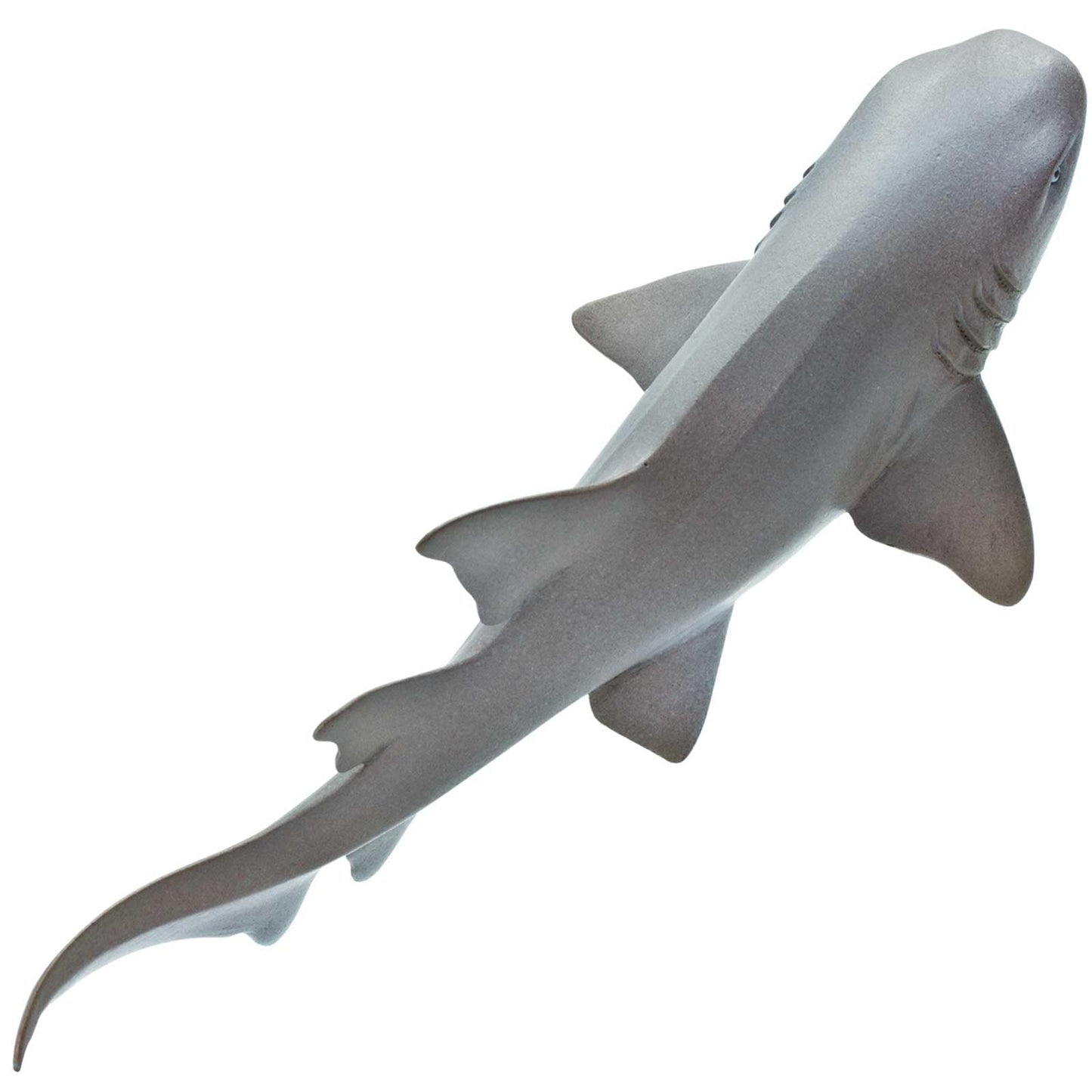 Safari Ltd. Nurse Shark Figurine – Lifelike 5.5-Inch Model for Kids 3+