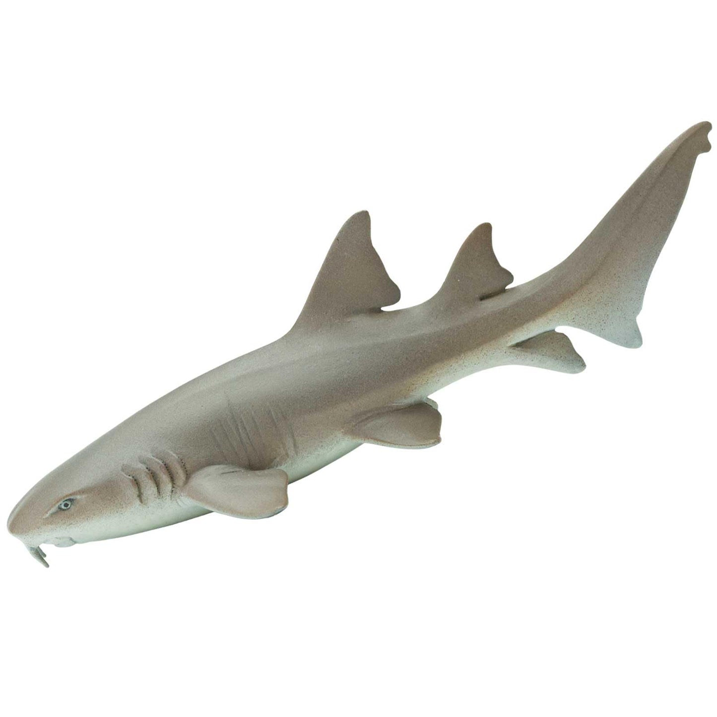 Safari Ltd. Nurse Shark Figurine – Lifelike 5.5-Inch Model for Kids 3+