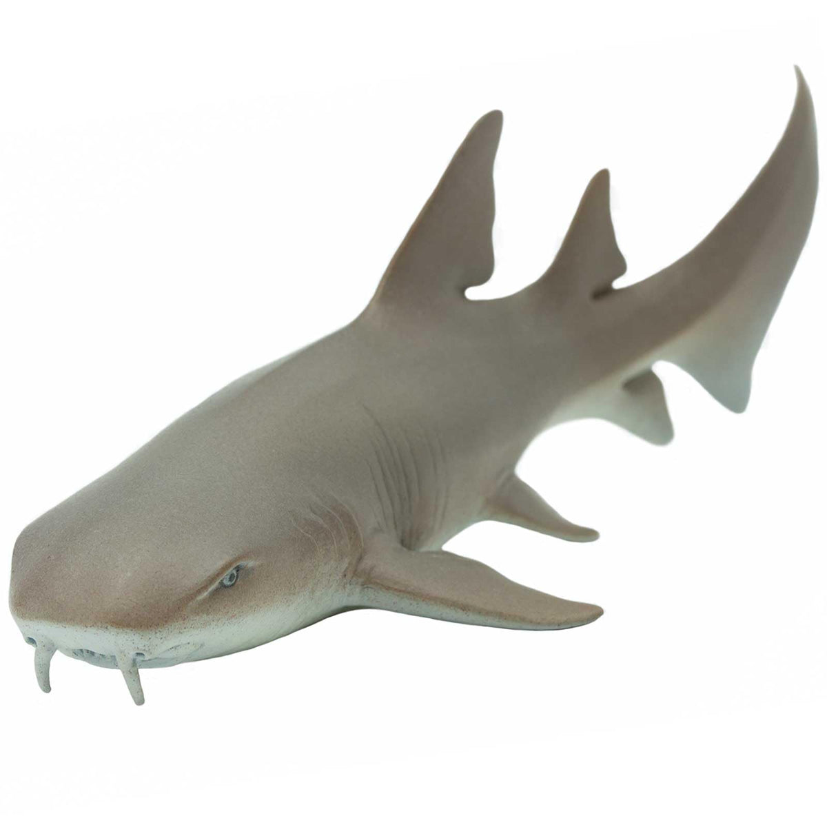 Safari Ltd. Nurse Shark Figurine – Lifelike 5.5-Inch Model for Kids 3+