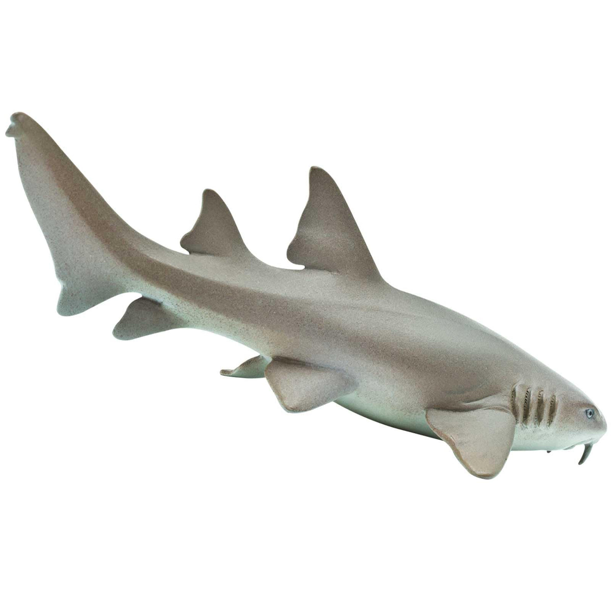 Safari Ltd. Nurse Shark Figurine – Lifelike 5.5-Inch Model for Kids 3+