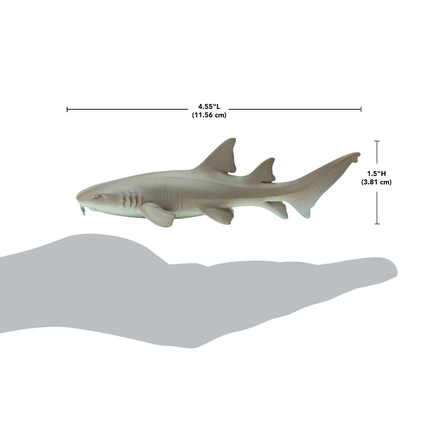 Safari Ltd. Nurse Shark Figurine – Lifelike 5.5-Inch Model for Kids 3+
