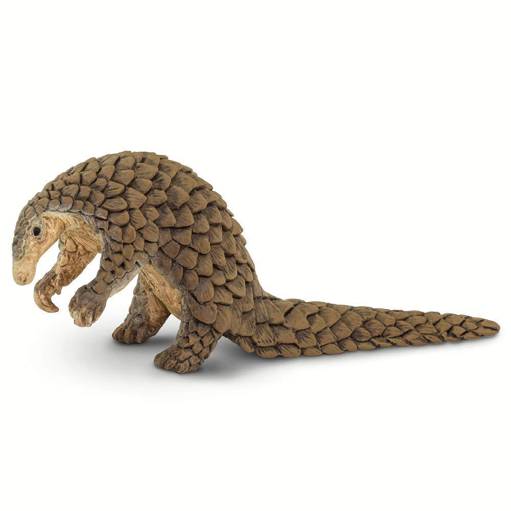 Safari Ltd. Pangolin Figurine - Realistic 7-Inch Figure for Ages 3+
