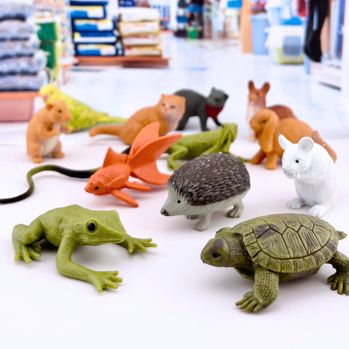 Safari Ltd. Pets TOOB – 12 Pet Figurines for Imaginative Play (Ages 3+)