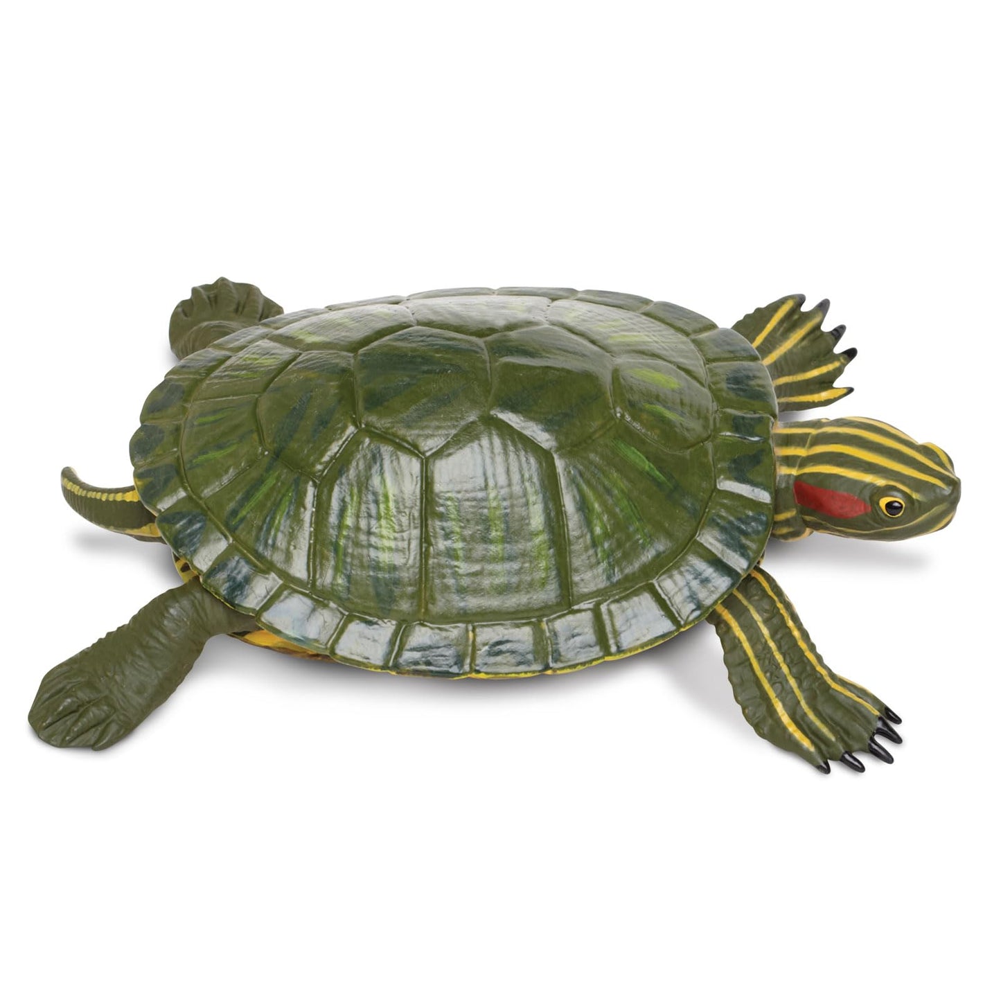 Safari Ltd. Red-Eared Slider Turtle Figurine – Realistic 5.25-Inch Model for Kids