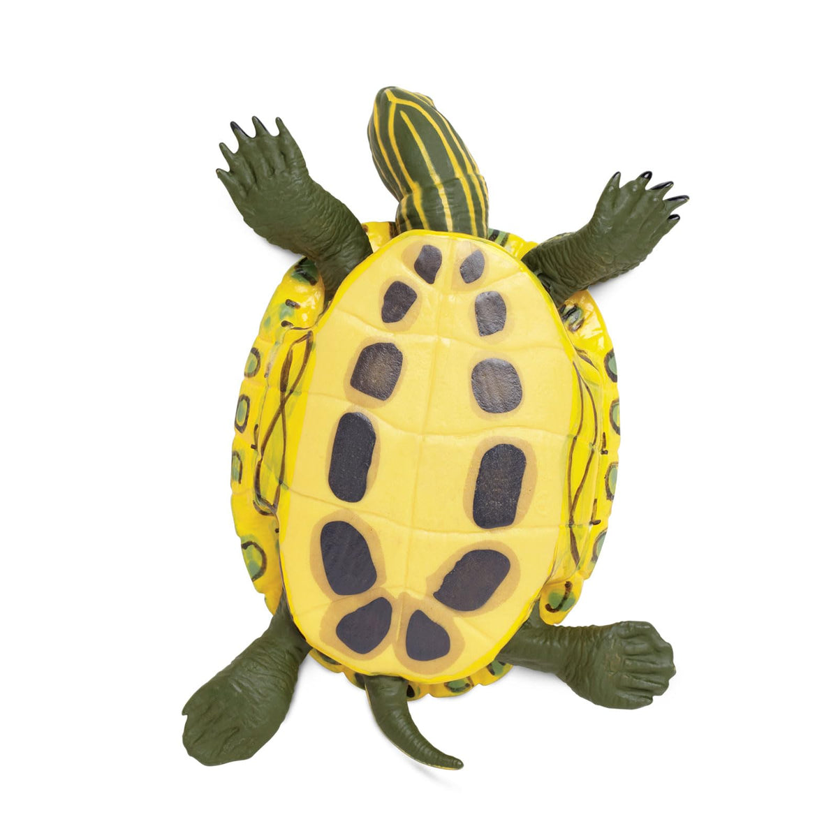 Safari Ltd. Red-Eared Slider Turtle Figurine – Realistic 5.25-Inch Model for Kids