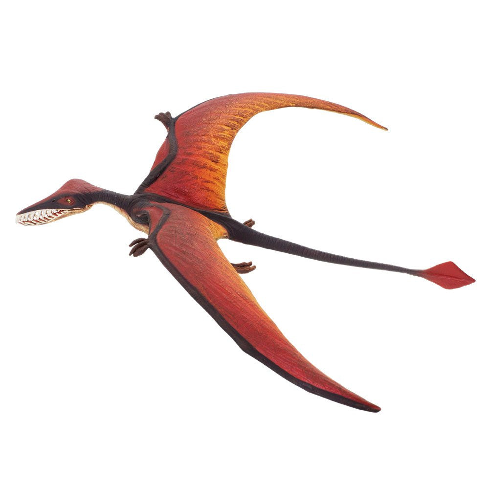 Safari Ltd. Rhamphorhynchus Figurine - 8-inch Flying Dinosaur | Educational Dino Toy for Ages 3+